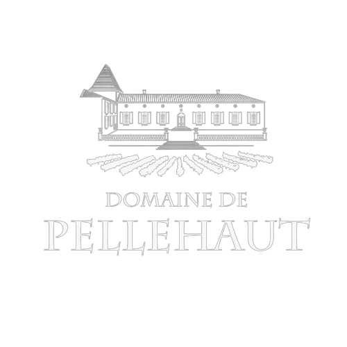 pellehaut-removebg-preview